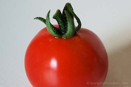 Tomate (détail) - 16/07/2008 - (c) mirovinben