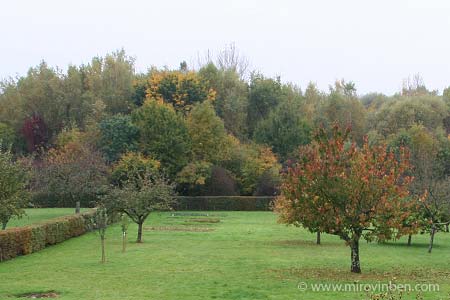 Une partie du jardin - 10/10/2008 - (c) mirovinben