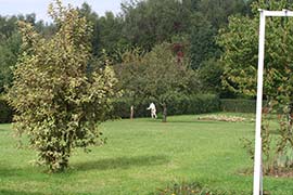 080914d0600_v.jpg