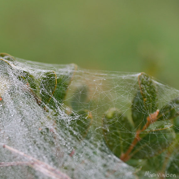 080929d0861-b.jpg