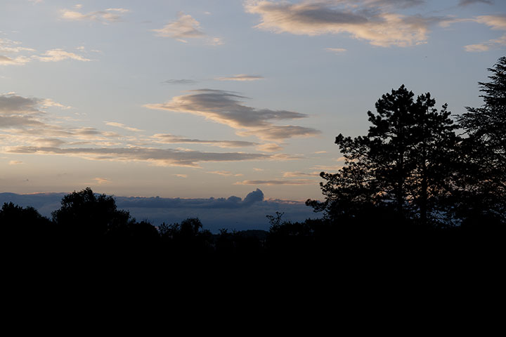 240522n3969-b.jpg