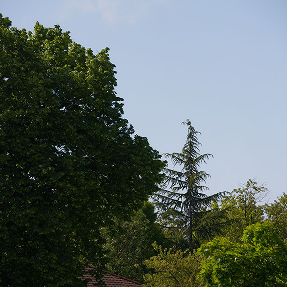 240509n3912-b.jpg