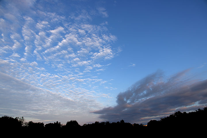 240724n4203-b.jpg
