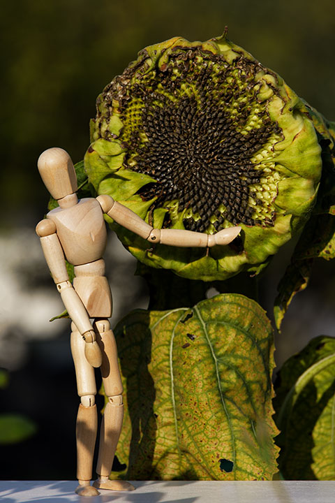 240902n4307-b.jpg