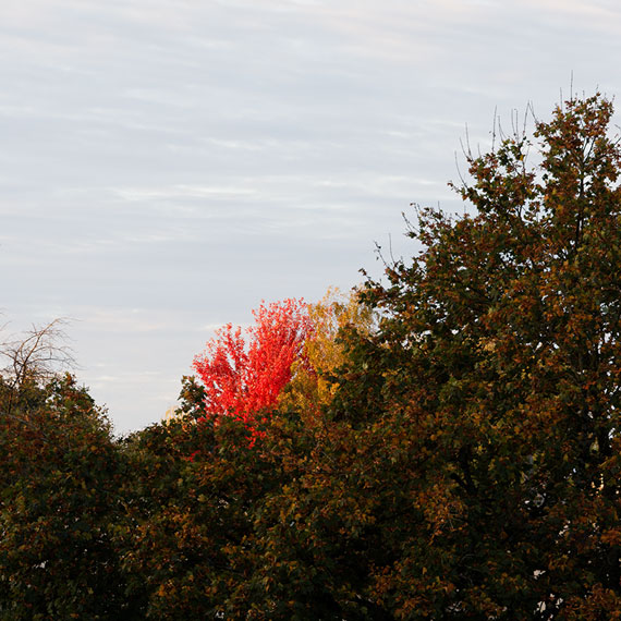231016n3288-b.jpg