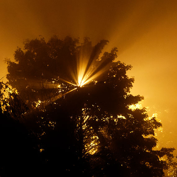 211005m4575-b.jpg