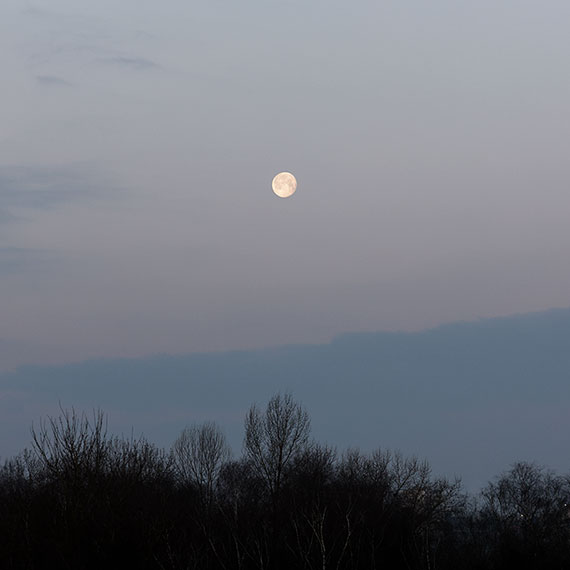 250214n4749-b.jpg
