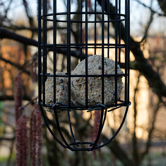 250306m7258-b.jpg
