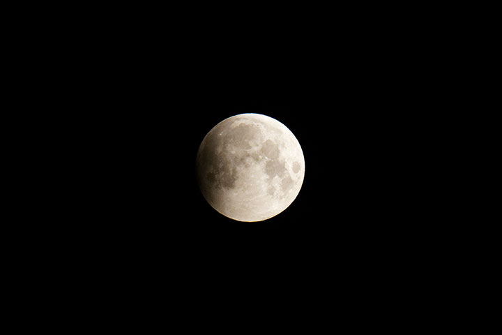 250314n4871-b.jpg