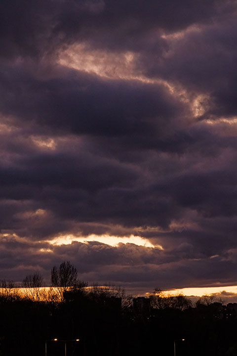 250330n4955-b.jpg
