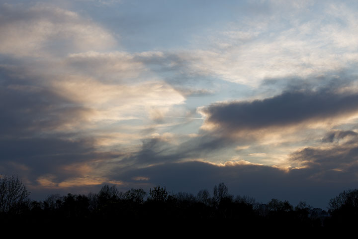 250403n4989-b.jpg
