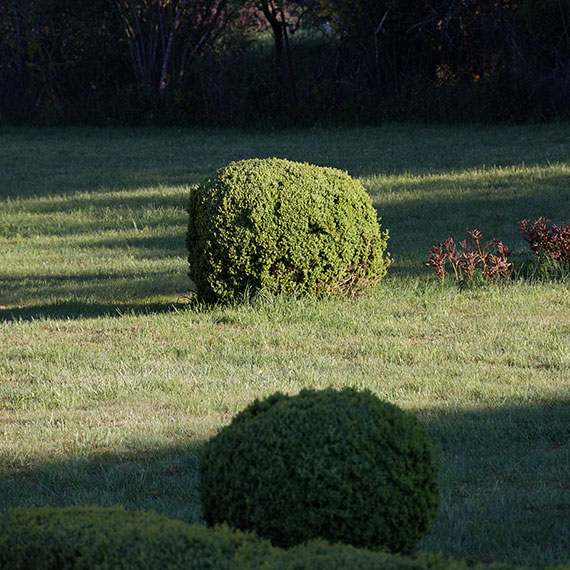 250411n5012-b.jpg
