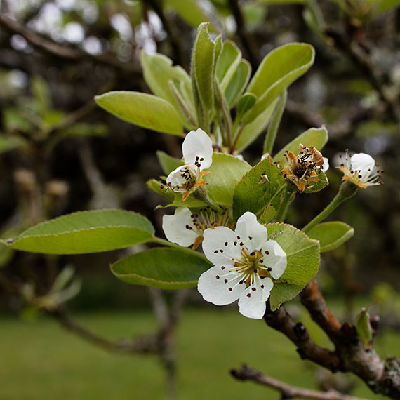250414m7295-b.jpg