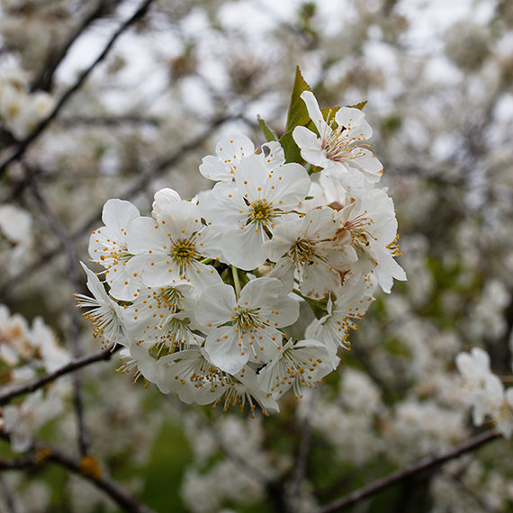 250414m7296-b.jpg