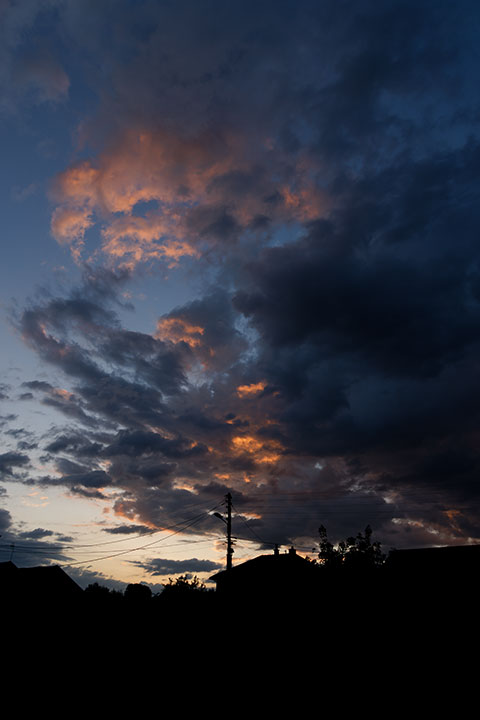 250504n5105-b.jpg