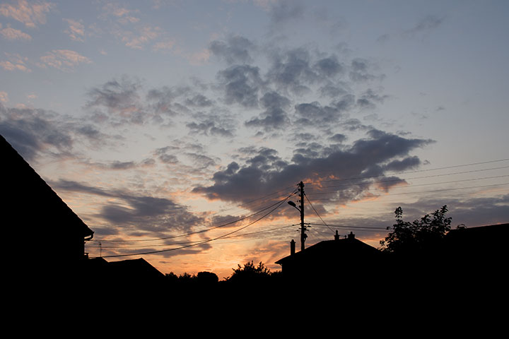 250509n5123-b.jpg