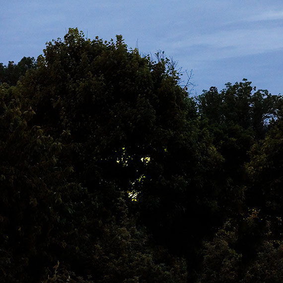 250505n5112-b
