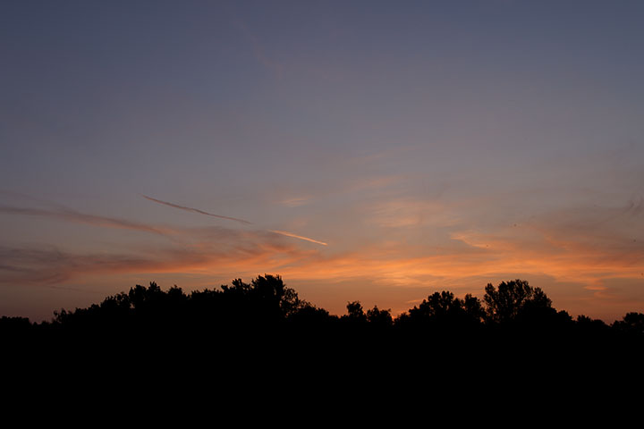250611n5275-b.jpg