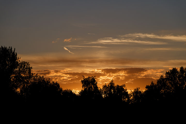 250627n5335-b.jpg