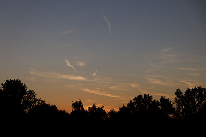 250710n5387-b