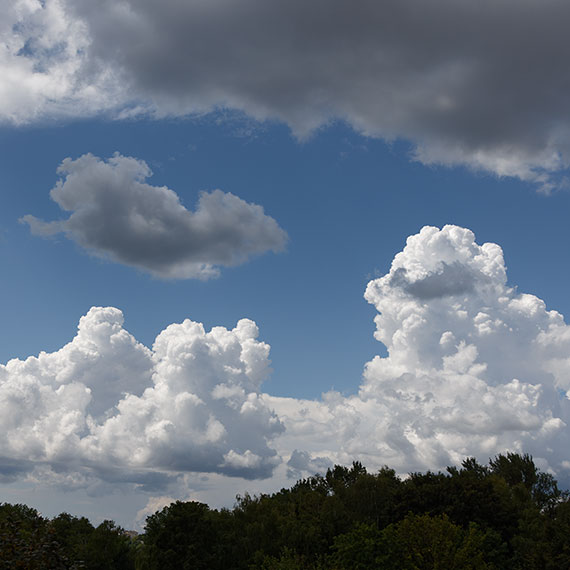 250725n5466-b.jpg