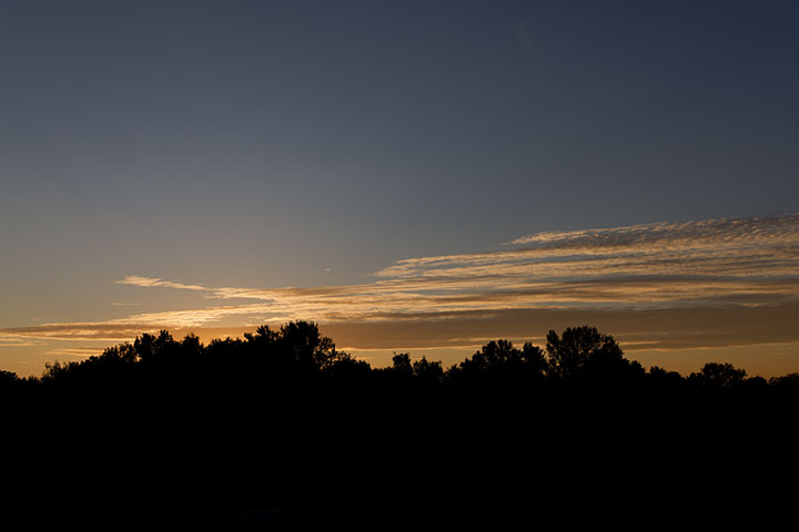 250804n5509-b.jpg