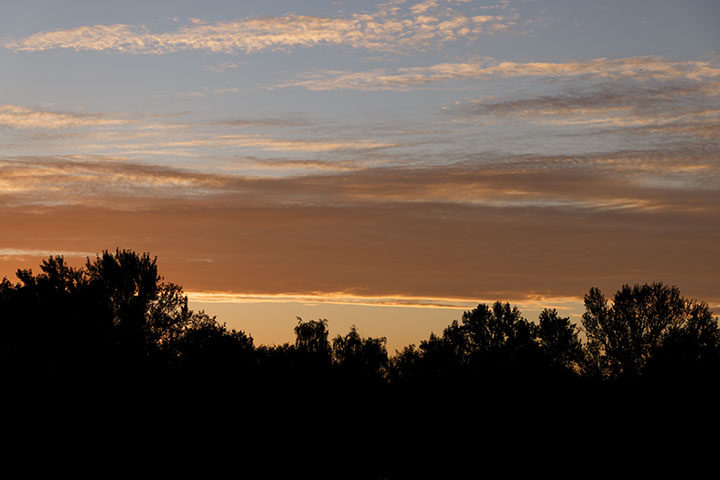 250804n5514-b.jpg