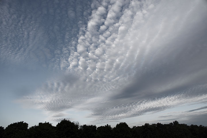 250805n5516-b.jpg