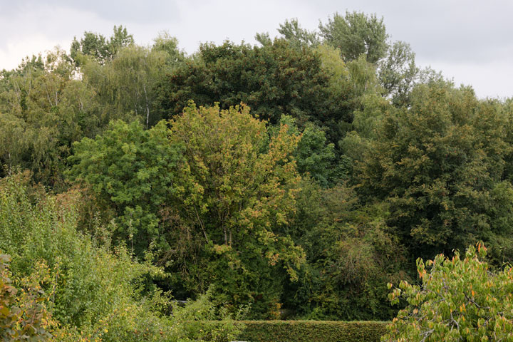 250820n5557-b.jpg
