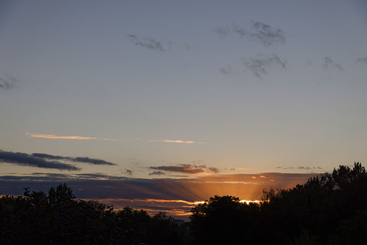 250830n5608-b.jpg