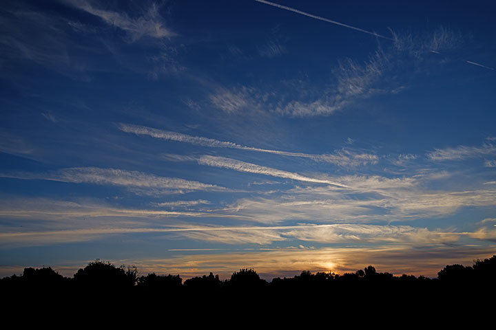 251001n5798-b.jpg