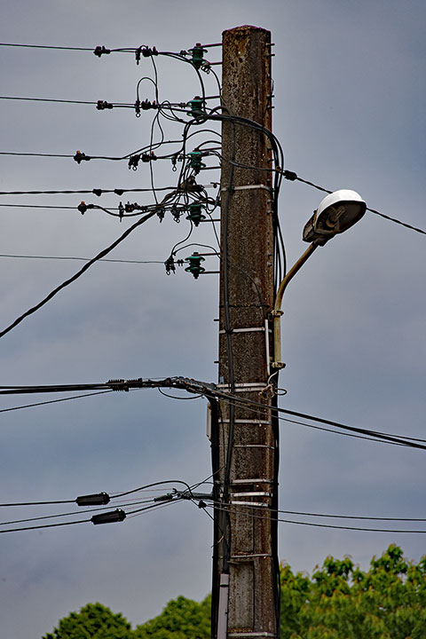 260510n6795-b.jpg
