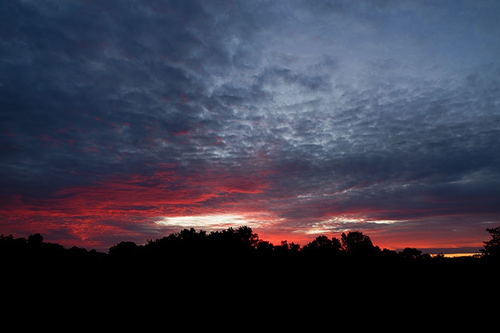 260512n6807-b.jpg