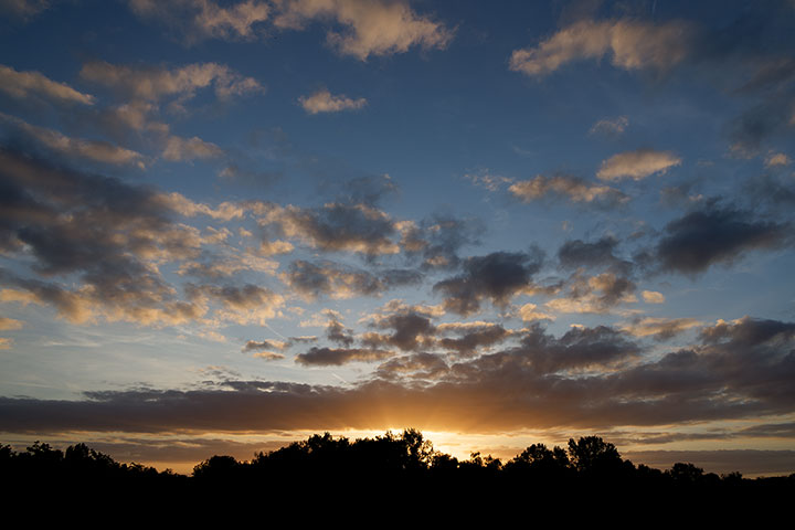 260520n6845-b.jpg