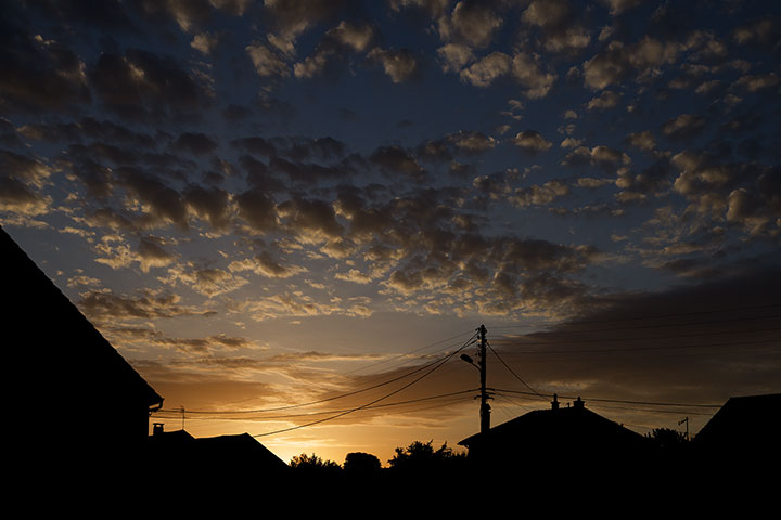 260621n6951-b.jpg