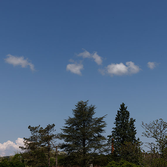 250514n5155-b.jpg
