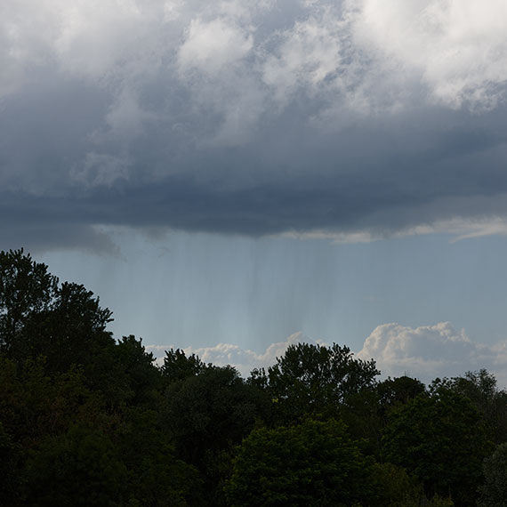 260602n6868-b.jpg