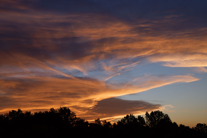 260710n7004-b.jpg