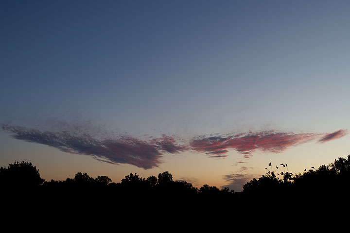 260720n7023-b.jpg