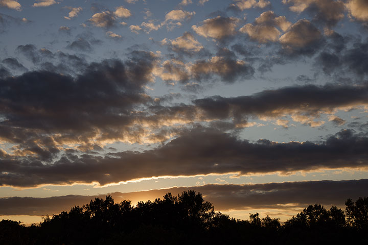 260726n7040-b.jpg
