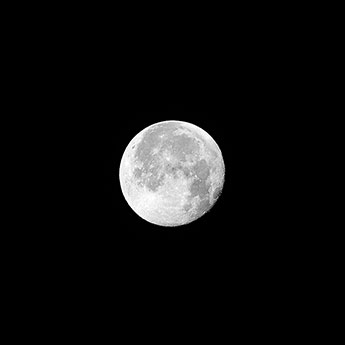 260731n7047-m.jpg