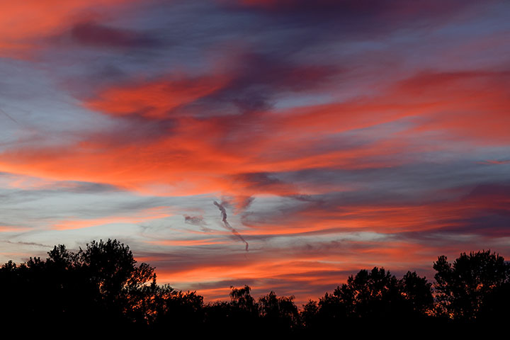 260818n7080-b.jpg