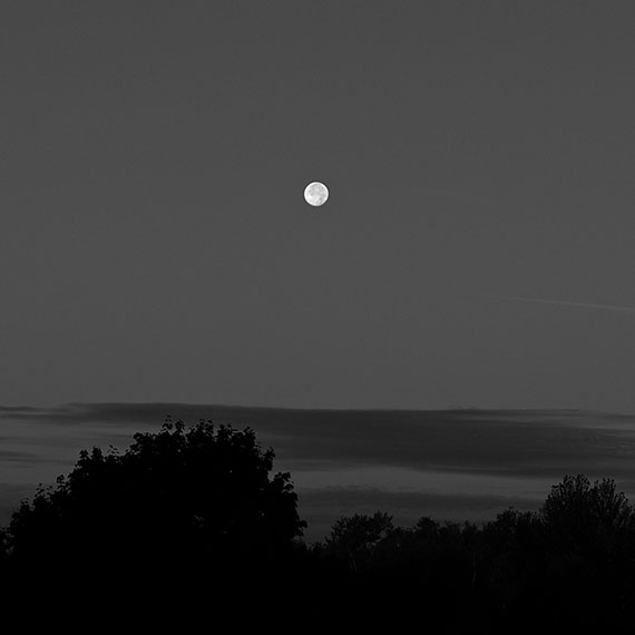 260829m7667-b.jpg