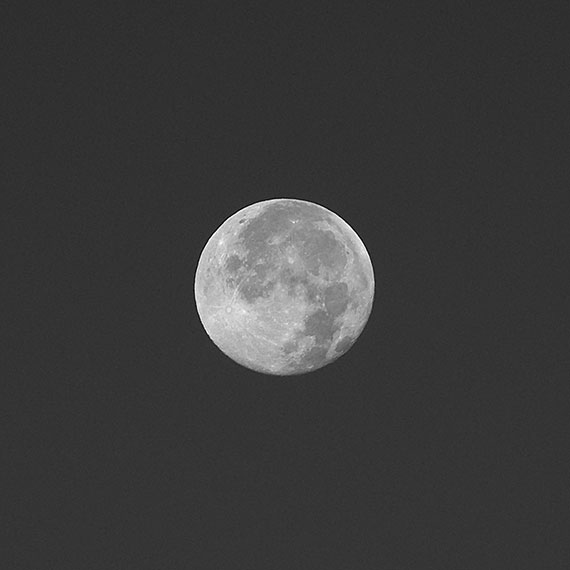 260829n7115-b.jpg