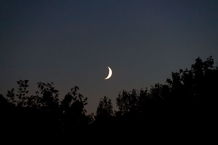 260915n7171-b.jpg