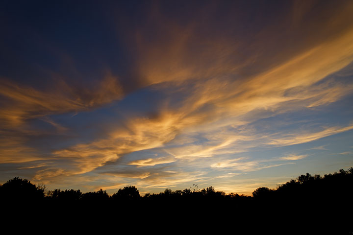 260919n7177-b.jpg