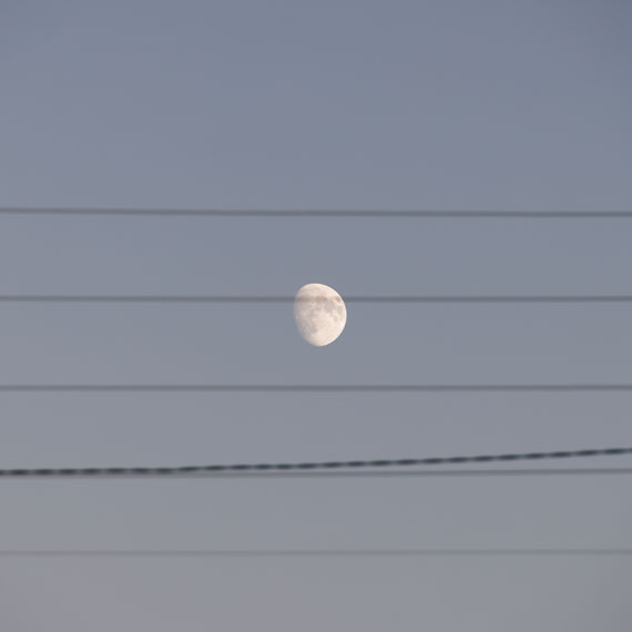 260922n7182-b.jpg