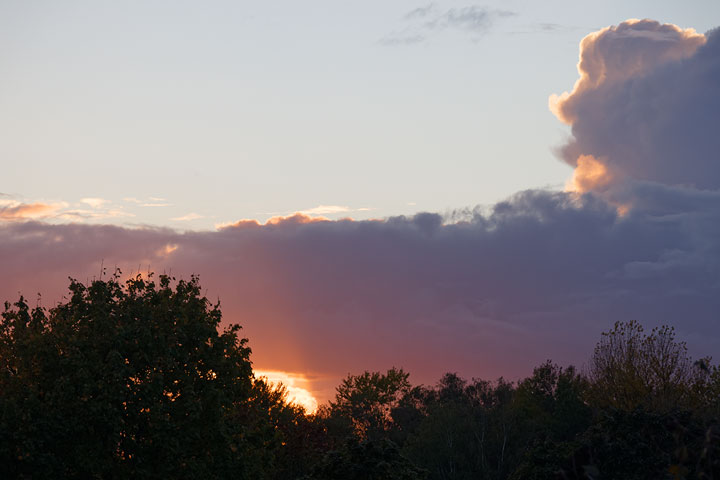 261021n7286-b.jpg