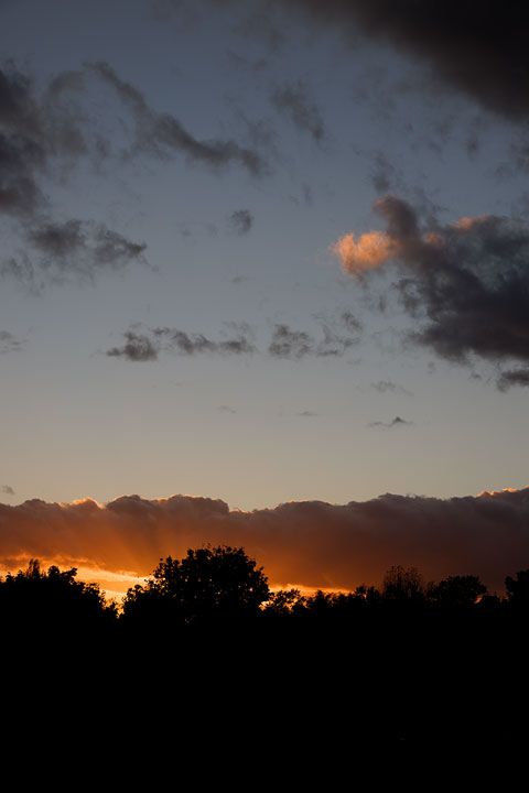 261025n7299-b.jpg