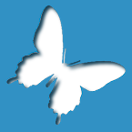 0145Papillon.png